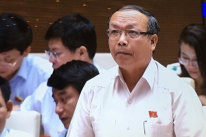 ĐBQH nêu thực trạng đất “vàng” rơi vào doanh nghiệp “bạch tuộc”