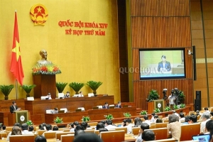 ĐBQH đề nghị chấm dứt ngay tình trạng luật chờ nghị định
