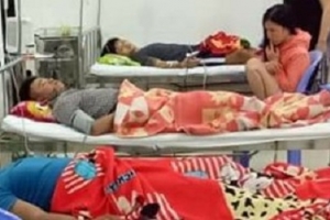 Ăn cá chình biển, 7 người bị ngộ độc phải nhập viện cấp cứu