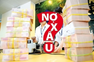 Thi hành án tín dụng, ngân hàng ở Lâm Đồng còn chậm