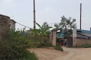 Vĩnh Phúc: Giám đốc “biến” cổ đông thành “con nợ” của doanh nghiệp khác