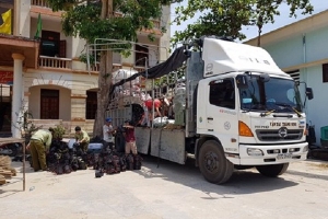 Phát hiện, bắt giữ lô hàng lậu trị giá 400 triệu trên đường vận chuyển