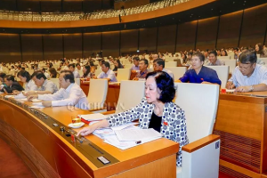 Thống nhất chưa thông qua dự luật Luật Đơn vị hành chính-kinh tế đặc biệt