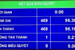 Quốc hội thông qua Luật Tố cáo (sửa đổi) và Luật Cạnh tranh (sửa đổi)