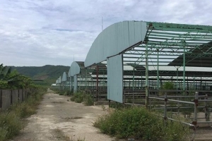 Khởi tố, bắt tạm giam hai bị can liên quan dự án nghìn tỷ tại Hà Tĩnh