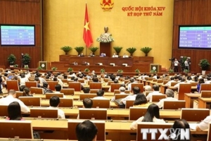 Các đại biểu thảo luận dự thảo Luật Phòng, chống tham nhũng (sửa đổi)