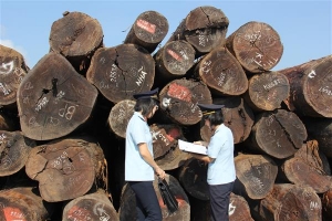 Hải quan tăng cường quản lý gỗ xuất khẩu và mỹ phẩm nhập khẩu