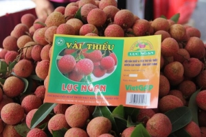 200 tấn vải thiều Bắc Giang được xuất khẩu sang Thái Lan