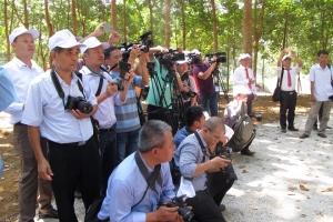 Tản mạn chữ nghĩa thời hội nhập