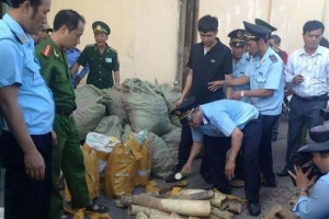 Lực lượng hải quan bắt giữ hàng nghìn vụ việc vi phạm