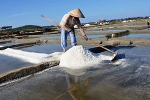 Quảng Ngãi “xẻ” đồng muối để xây biệt thự