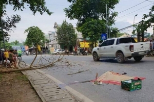 Thương tâm cặp đôi sắp cưới bị cành cây rơi trúng, 2 người thương vong