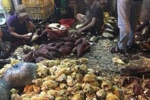 TP.HCM: Phát hiện 2 cơ sở sơ chế hoa chuối ngâm hóa chất, mất vệ sinh