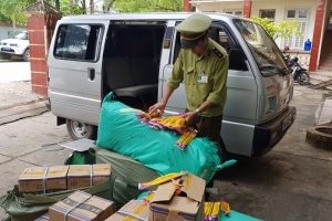 Bắt giữ 5000 túi thuốc chống rận ong nhập lậu