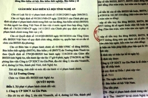 Nghệ An: Doanh nghiệp bị phạt nặng vì chậm, trốn đóng BHXH cho người lao động