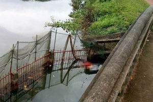 Sóc Sơn (Hà Nội): Tìm thấy thi thể cô gái nổi dưới ao nước ở xã Nam Sơn