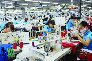 TNG báo lãi đạt 45,4 tỷ đồng trong quý II, tăng 67% so với cùng kỳ