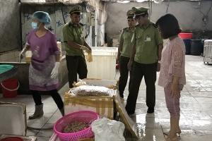 QLTT Lạng Sơn thu giữ 245 kg lòng lợn nhập lậu