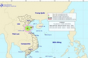 Công điện về chủ động ứng phó với áp thấp nhiệt đới