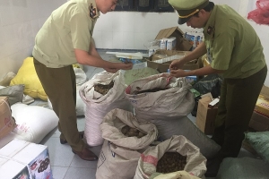 Thu giữ 735 kg dược liệu không rõ nguồn gốc tại Nghệ An