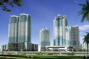 NDN báo lãi đạt 21 tỷ đồng trong quý II, tăng 46% so cùng kỳ