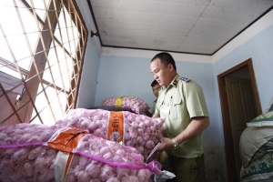 Lâm Đồng: Tịch thu gần 4 tấn cà rốt Trung Quốc nhập lậu