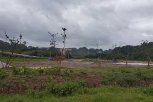 Thanh Hóa: Công ty CP Bỉm Sơn Viglacera thi công dự án khi chưa được cấp phép