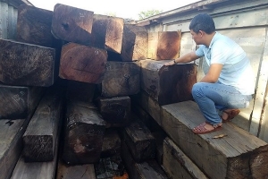 Gia Lai: Phát hiện và bắt giữ container chở gỗ lậu