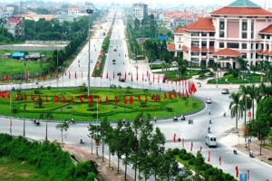 Phó Thủ tướng: Yêu cầu làm rõ việc đổi 100ha đất lấy 1,39km đường BT