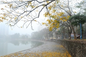 Dự báo thời tiết ngày 2/8: Thủ đô Hà Nội mưa giảm dần, trời hửng nắng