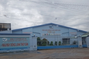 An Giang: Doanh nghiệp thủy sản vỡ nợ, người nuôi cá tra gặp khó khăn
