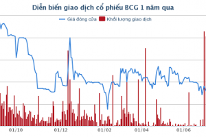 Bamboo Capital giảm dần kinh doanh thương mại, tập trung vào bất động sản?