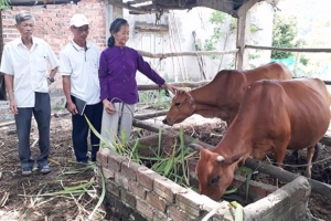 Quảng Nam: Huyện Quế Sơn phát động phong trào hỗ trợ nạn nhân da cam