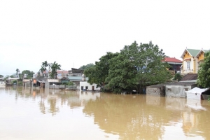 Ứng phó với bão số 4: Nghiêm túc thực hiện phương châm “3 sẵn sàng, 4 tại chỗ, 5 không”