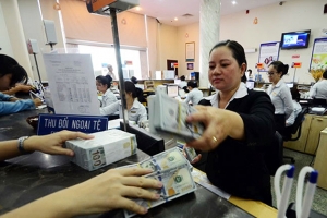 Nhiều đối tượng, doanh nghiệp bị ‘siết’ cho vay ngoại tệ