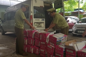 Tịch thu 360 kg hạt dưa đã tách vỏ nhập lậu