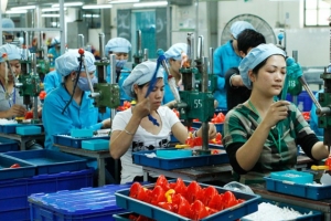 Gần 1 tỷ đồng đào tạo nghề cho doanh nghiệp nhỏ và vừa Hà Tĩnh