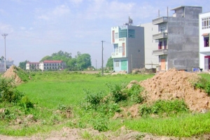 Hà Nội: công bố danh sách 22 đơn vị bị thu hồi đất do vi phạm