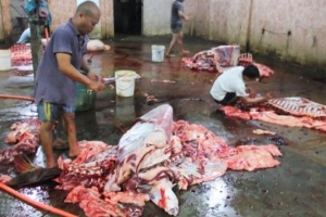 Bắc Giang: Phát hiện hàng chục cơ sở vi phạm an toàn thực phẩm