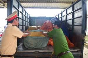 Phát hiện hơn 800 kg sụn gà không rõ nguồn gốc