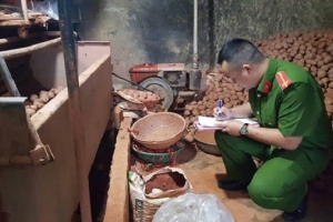 Bắt quả tang 1 tấn khoai tây Trung Quốc “đột lốt” khoai tây Đà Lạt