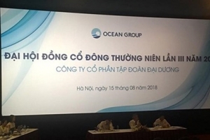 Ocean Group công bố bổ nhiệm Phó Chủ tịch mới
