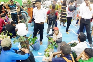 Quảng Nam: Phát triển giá trị sâm Ngọc Linh - hướng đi bền vững