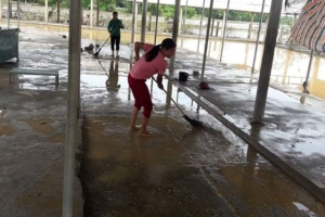 Nghệ An: Sau lũ, nhiều làng quê ngập trong bùn, rác