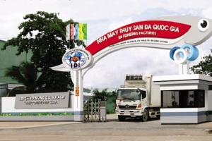 IDI báo lãi đạt 149,4 tỷ đồng trong quý II, tăng 188% so với cùng kỳ
