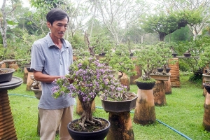 Bến Tre: Chú trọng phát triển, nhân rộng mô hình hợp tác xã kiểu mới