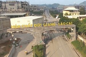 Hủy niêm yết 100 triệu cổ phiếu DGL của Hóa chất Đức Giang Lào Cai trên HNX từ ngày 5/9