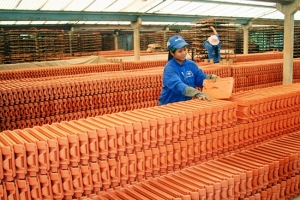 Gạch ngói Nhị Hiệp tạm ứng cổ tức bằng tiền mặt, tỷ lệ 10%