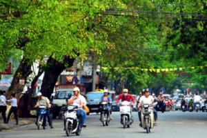 Hôm nay (31/8): Đông Bắc Bộ giảm mưa, chiều hửng nắng