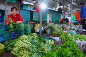 Mất an toàn thực phẩm: Nỗi lo từ chợ đầu mối